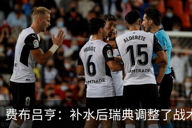 费布吕亨：补水后瑞典调整了战术，费布吕亨做出几次关键扑救