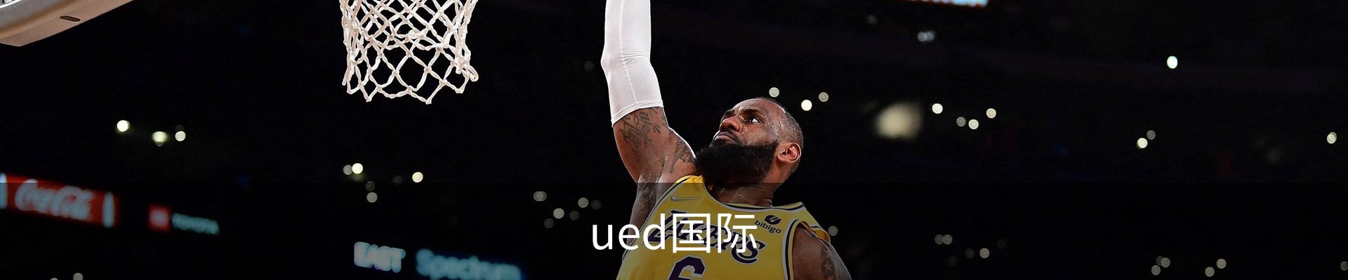 UED·(国际) - 官网